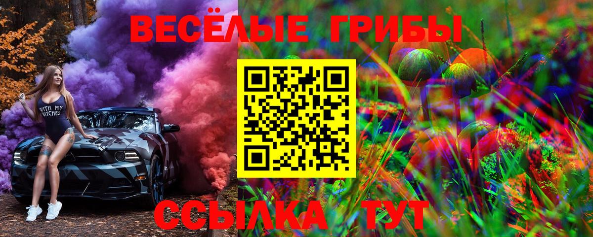 Сергиев Посад  Псилоцибиновые грибы Psilocybe  Вход с VPN  Галлюциногенные грибы прущие грибы 