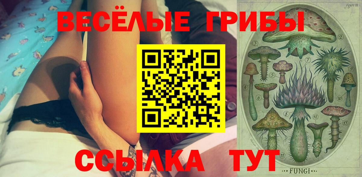 Галлюциногенные грибы Psilocybine cubensis Сергиев Посад